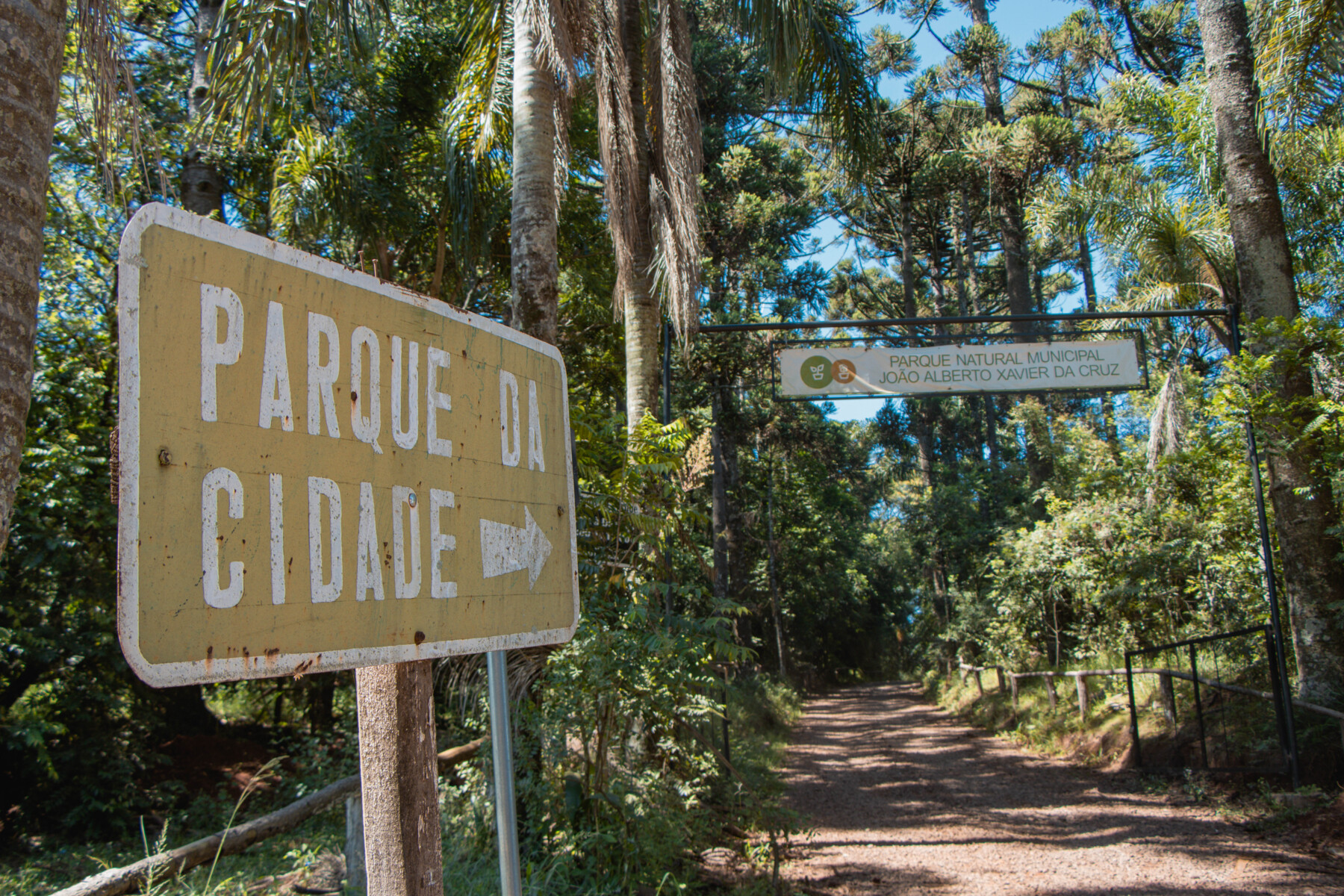 PARQUE MUNICIPAL (12).jpg