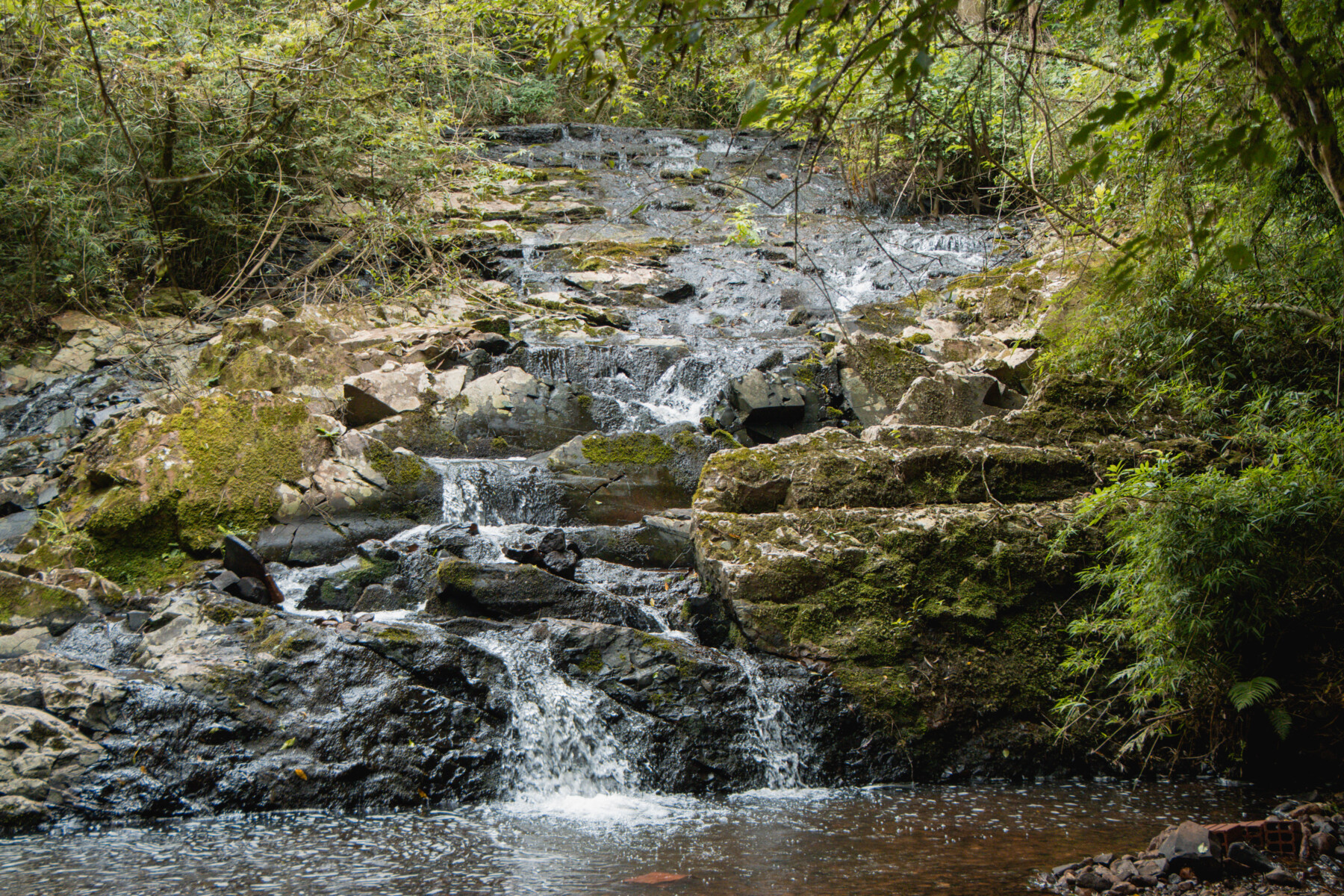 NOVOOO-79.jpg