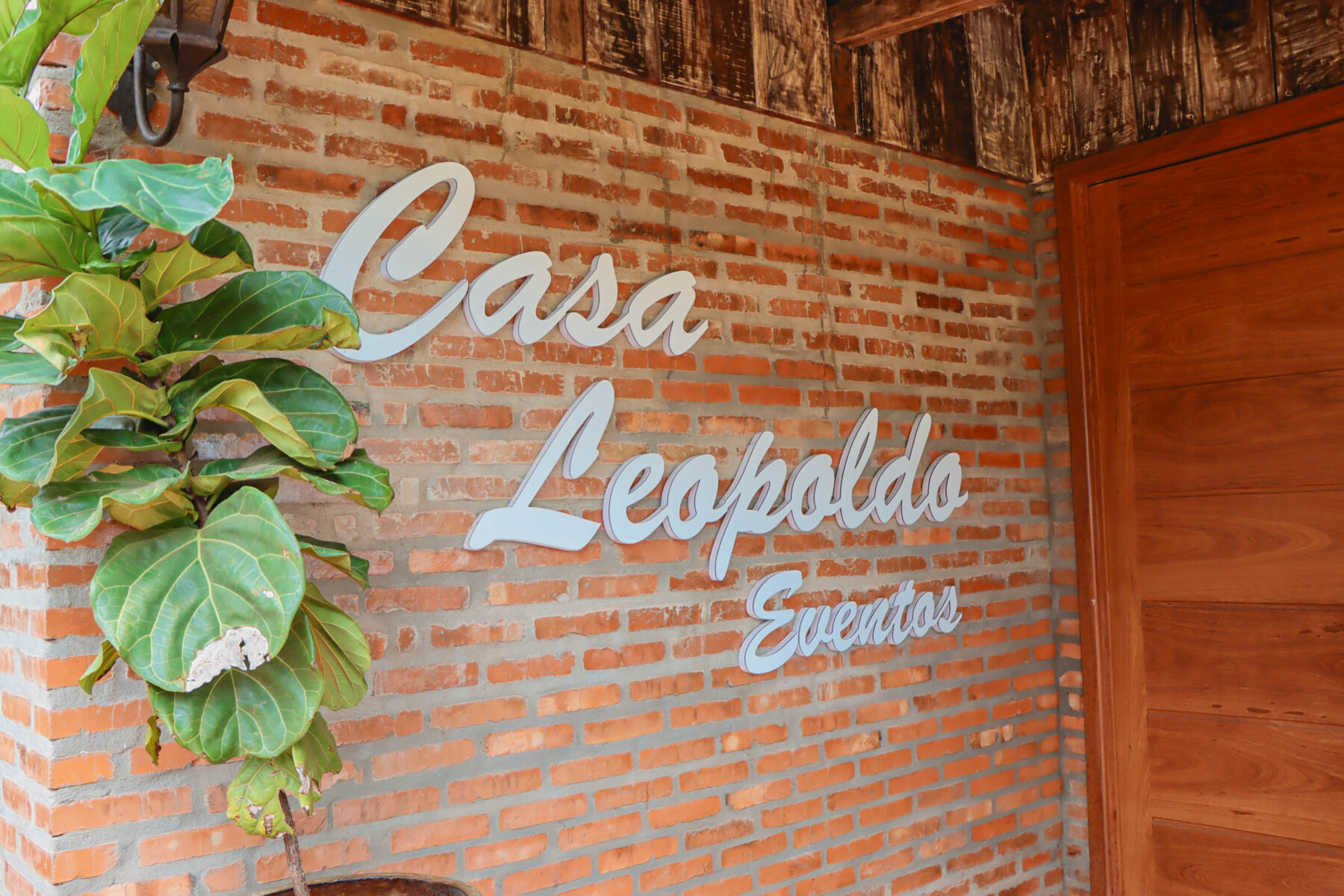 casa leopoldo (9).jpg
