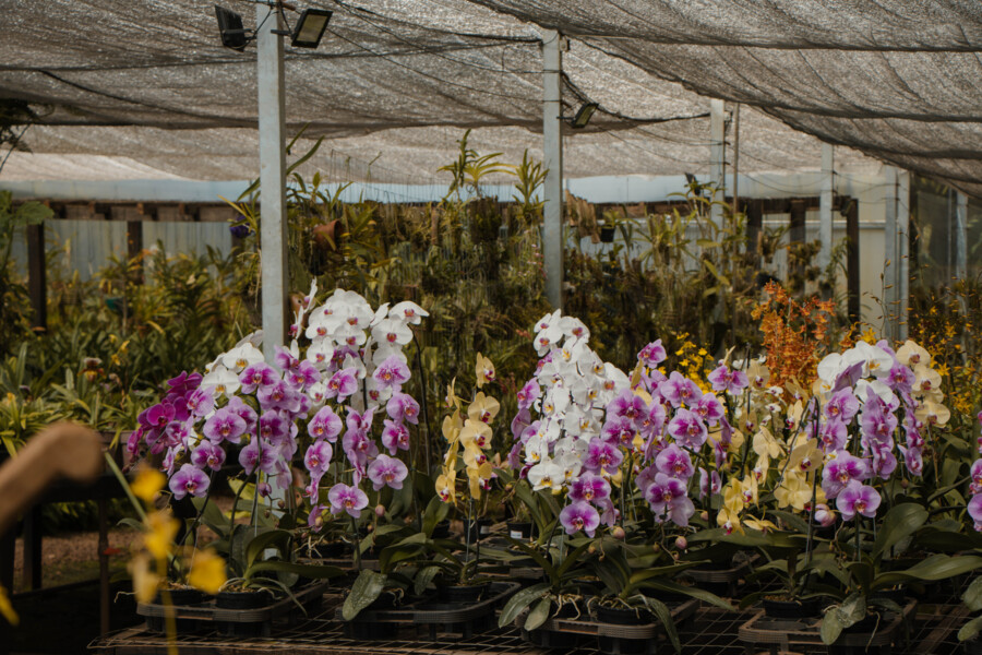 orquidario-san-sebastian