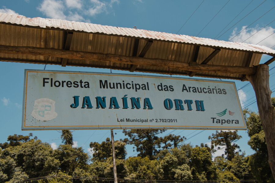 floresta-municipal-das-araucarias-janaina-orth